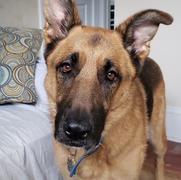 Meet your Posher, Shannon - Picture 5 of 5